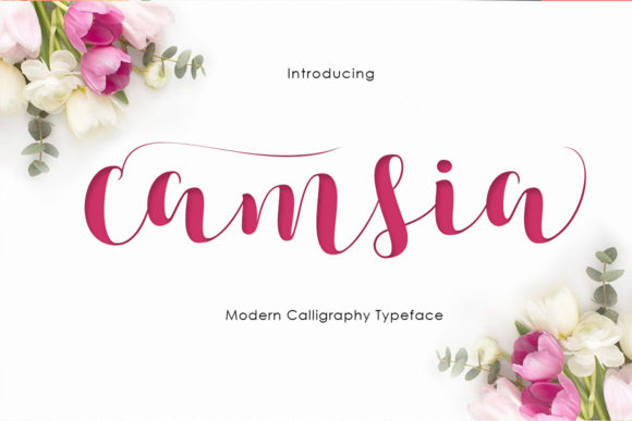 Camsia: A Handwritten Typeface for Thoughtful Editorial Design