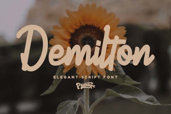 Demilton: A Handwritten Typeface for Editorial Elegance