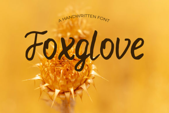 Foxglove: A Premium Script Font for Strong Brand Impressions