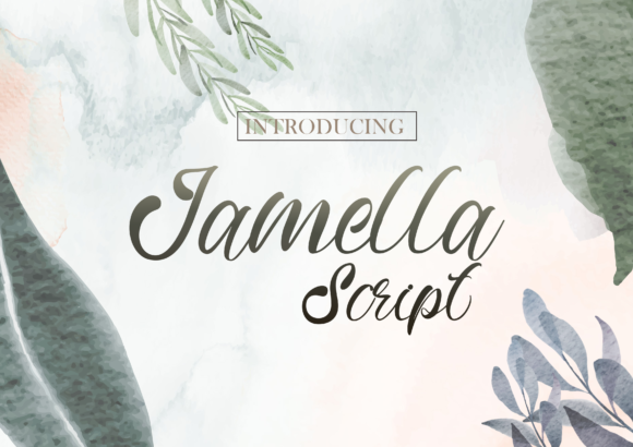 Jamella Font: A Delightful Display Typeface for Web Design