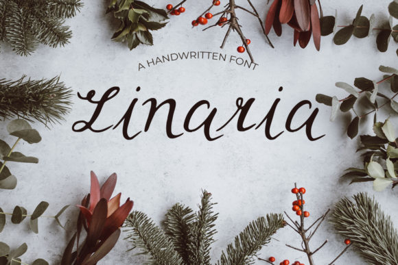 Linaria Font: A Handwritten Typeface for Beautiful Craft Projects