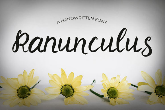 Ranunculus Font: A Handwritten Typeface for Digital Branding